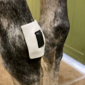 Rheva extrafäste small